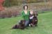 Pet photography f