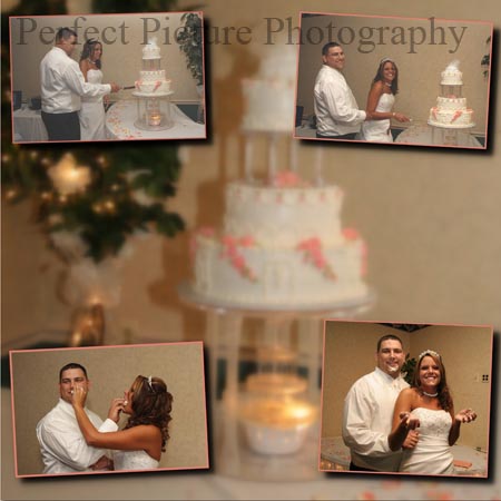 wedding photographer y