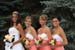 wedding photographer v
